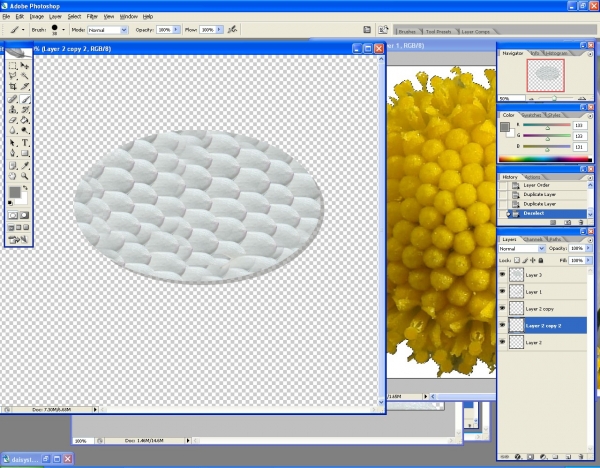 Creation of Daisy Fish: Step 3